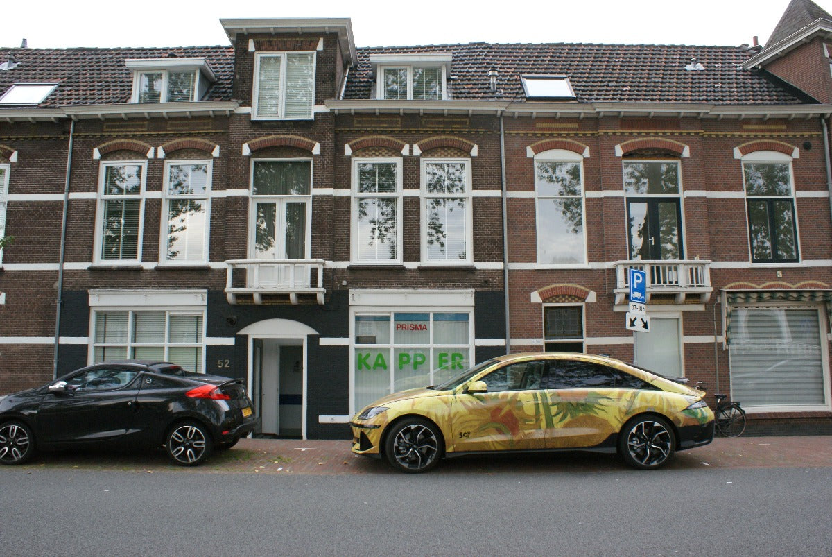 Hyundai Ioniq 6 - Zonnebloemen - Vincent van Gogh - Leiden