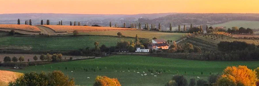 Roadtrip Zuid-Limburg
