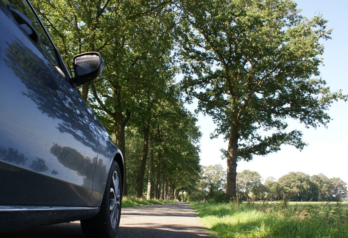 Roadtrip Achterhoek - rijdoor