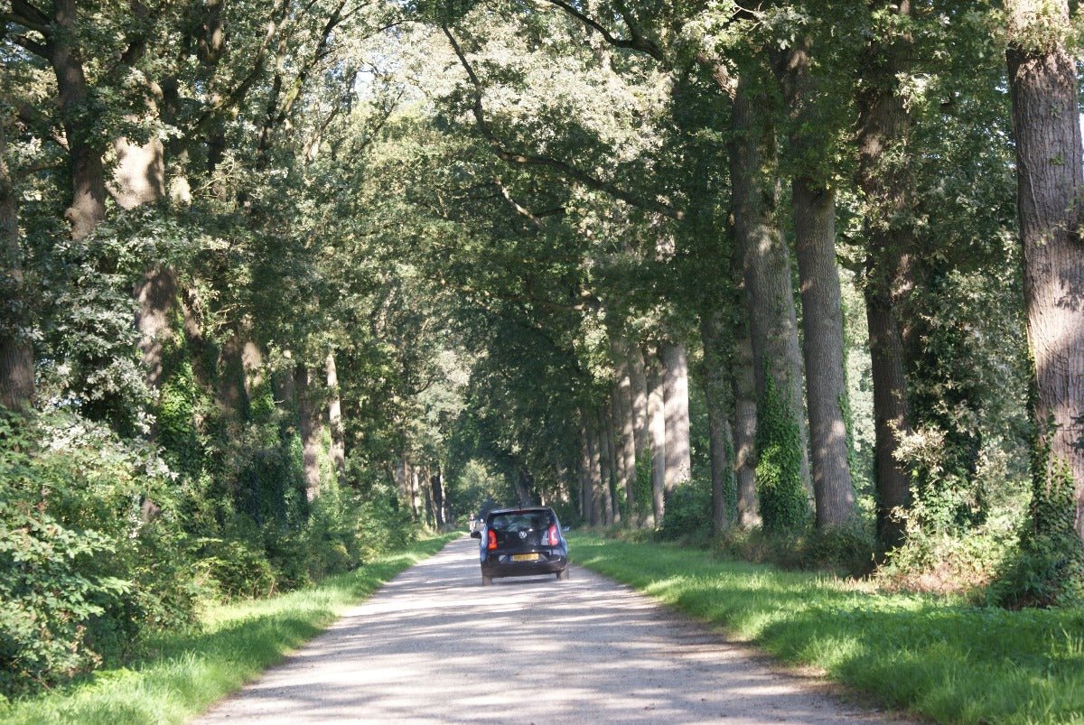 Roadtrip Achterhoek - rijdoor