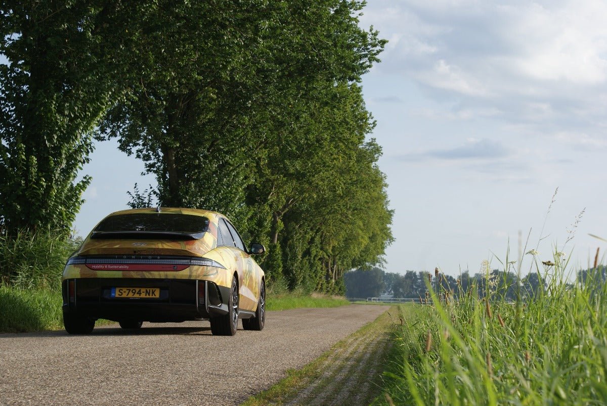 Roadtrip IJsselvallei en Vecht - rijdoor