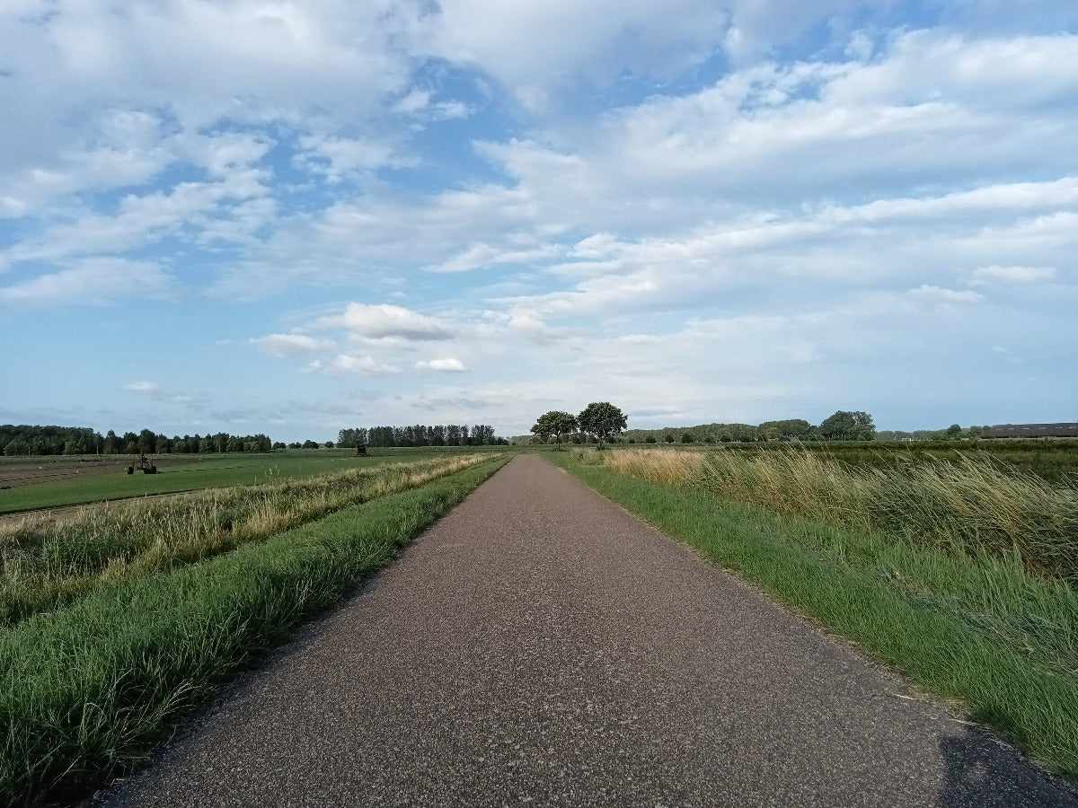 Roadtrip Kanaalzone Terneuzen - rijdoor