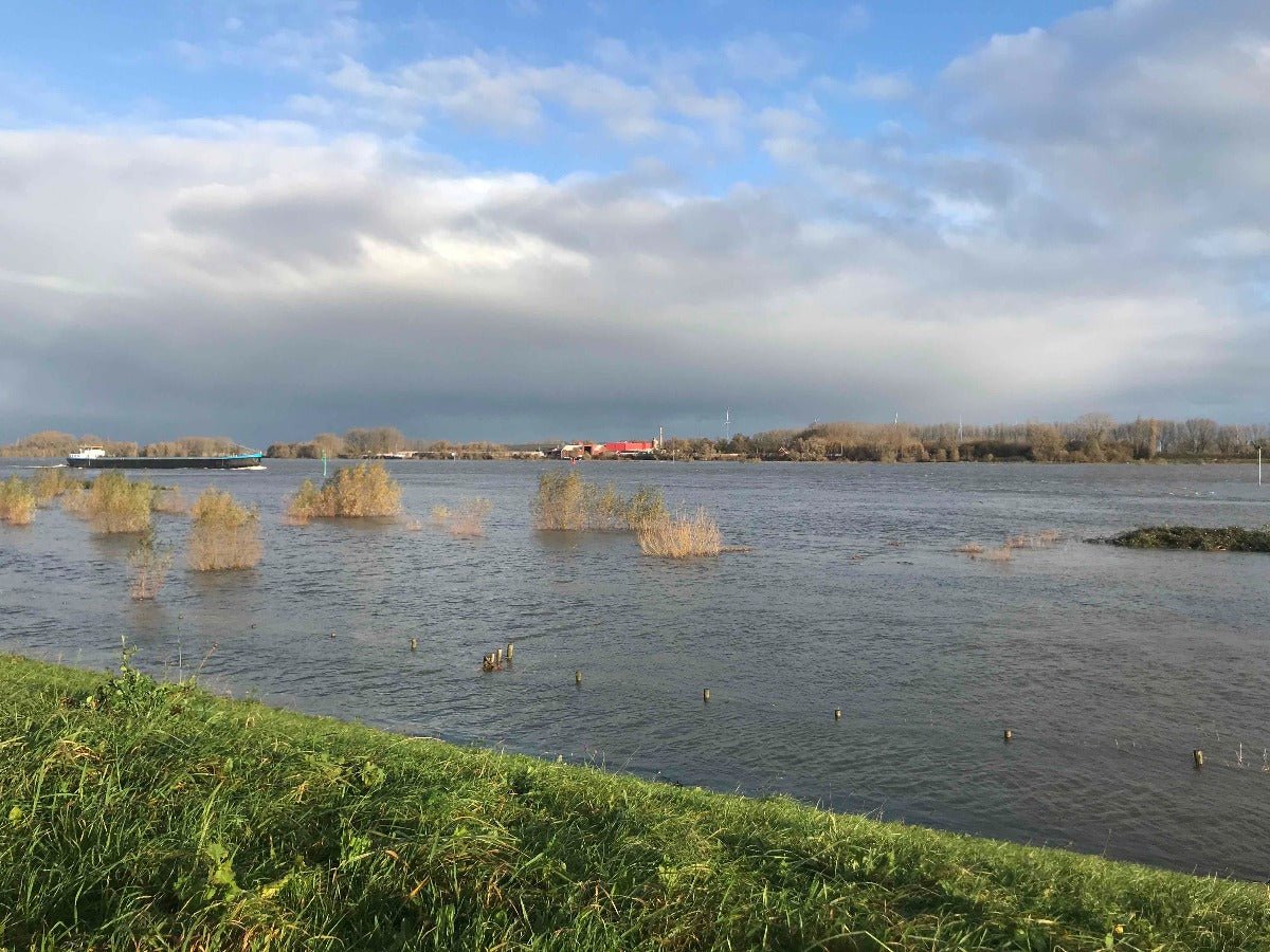 Autospeurtocht Land van Maas en Waal - rijdoor