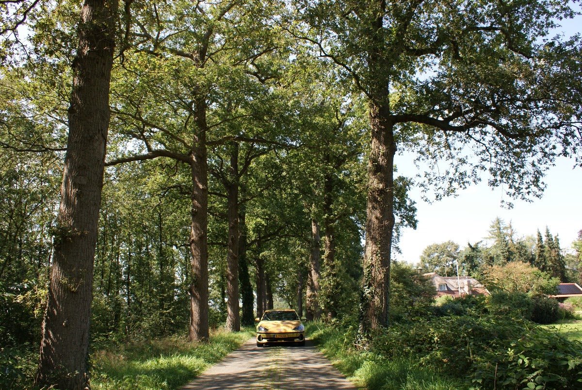 Roadtrip Twente - rijdoor
