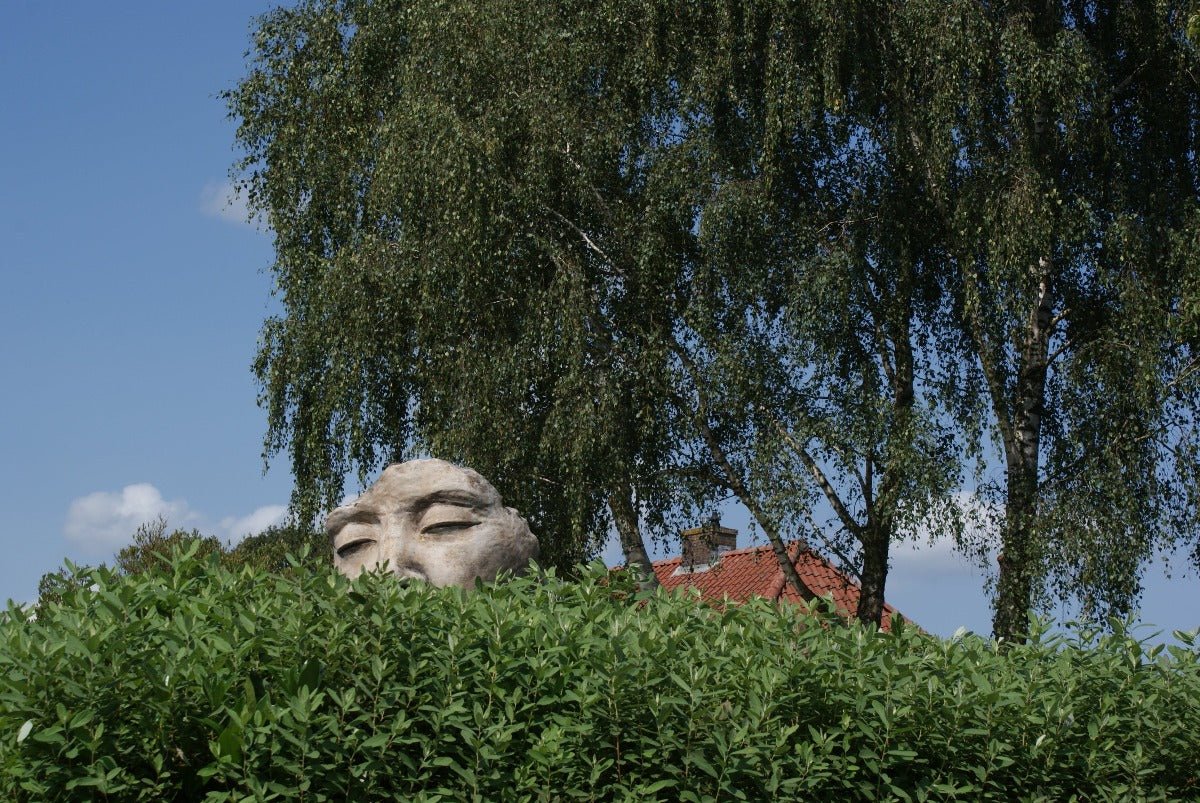 Roadtrip Twente - rijdoor