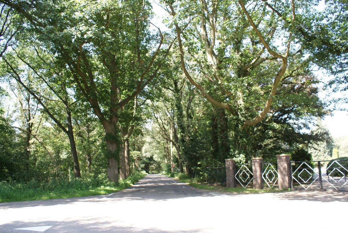 Roadtrip Twente - rijdoor