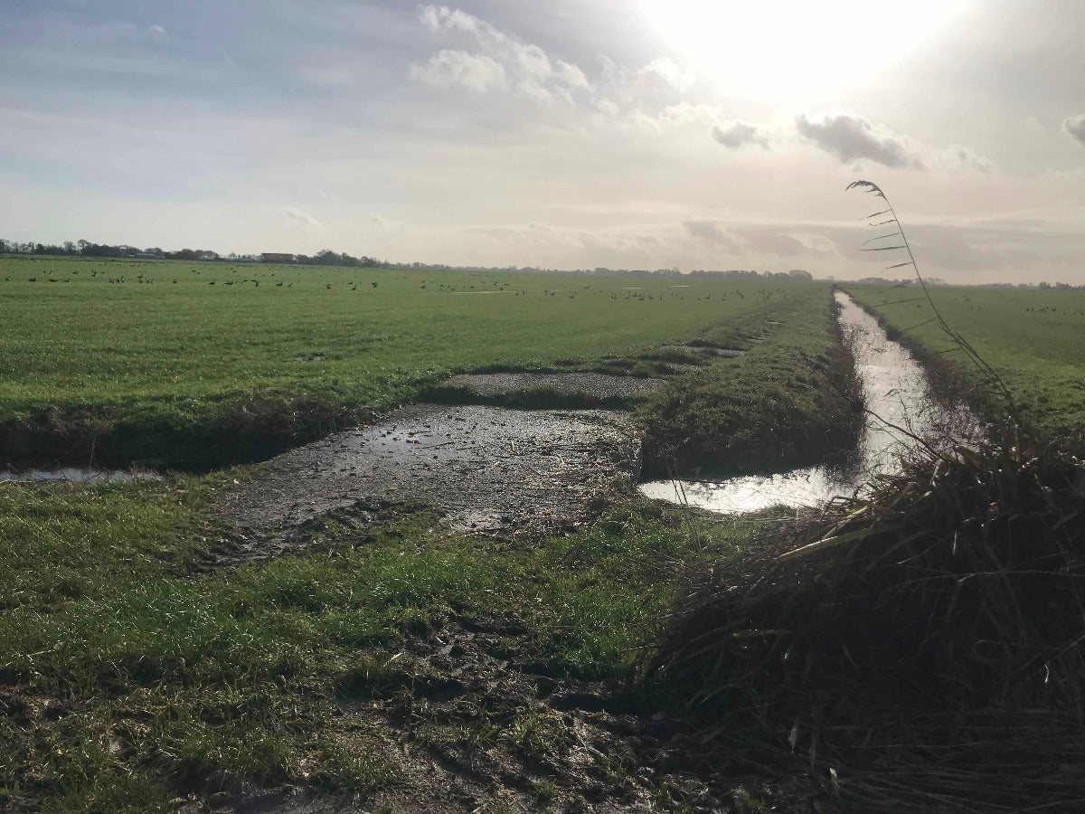 Roadtrip Tytsjerksteradiel en Smallingerland - rijdoor