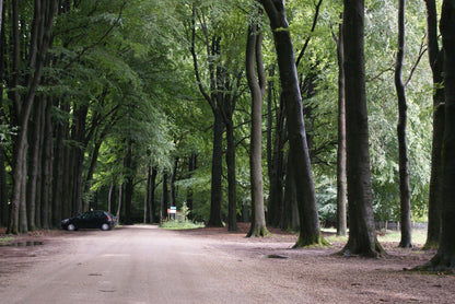 Roadtrip Veluwe - parkeerplaats in het bos