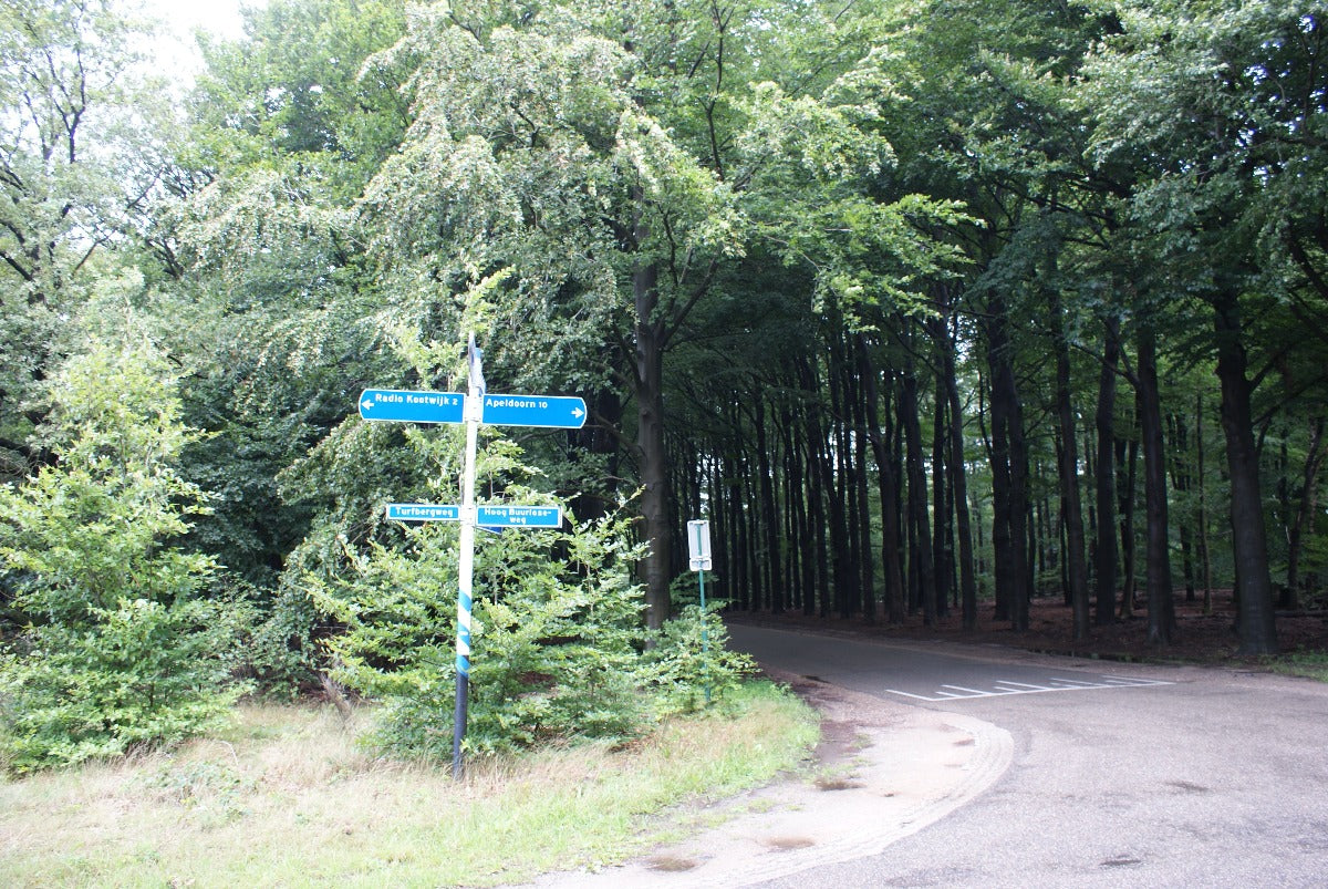 Roadtrip de Veluwe