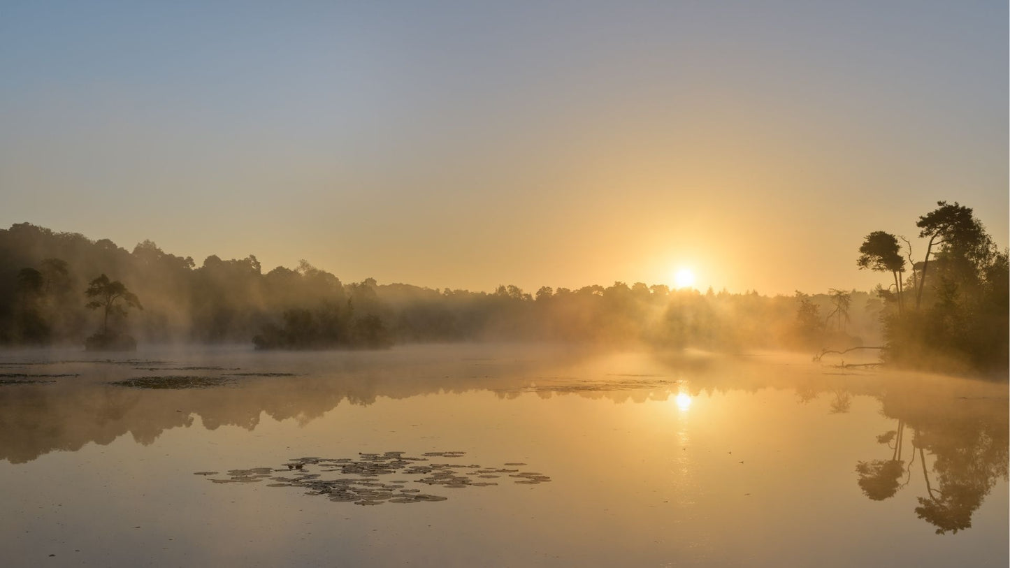 Muziektoer Noord-Brabant – Autospeurtocht met Muzikale Twist