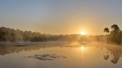 Muziektoer Noord-Brabant – Autospeurtocht met Muzikale Twist