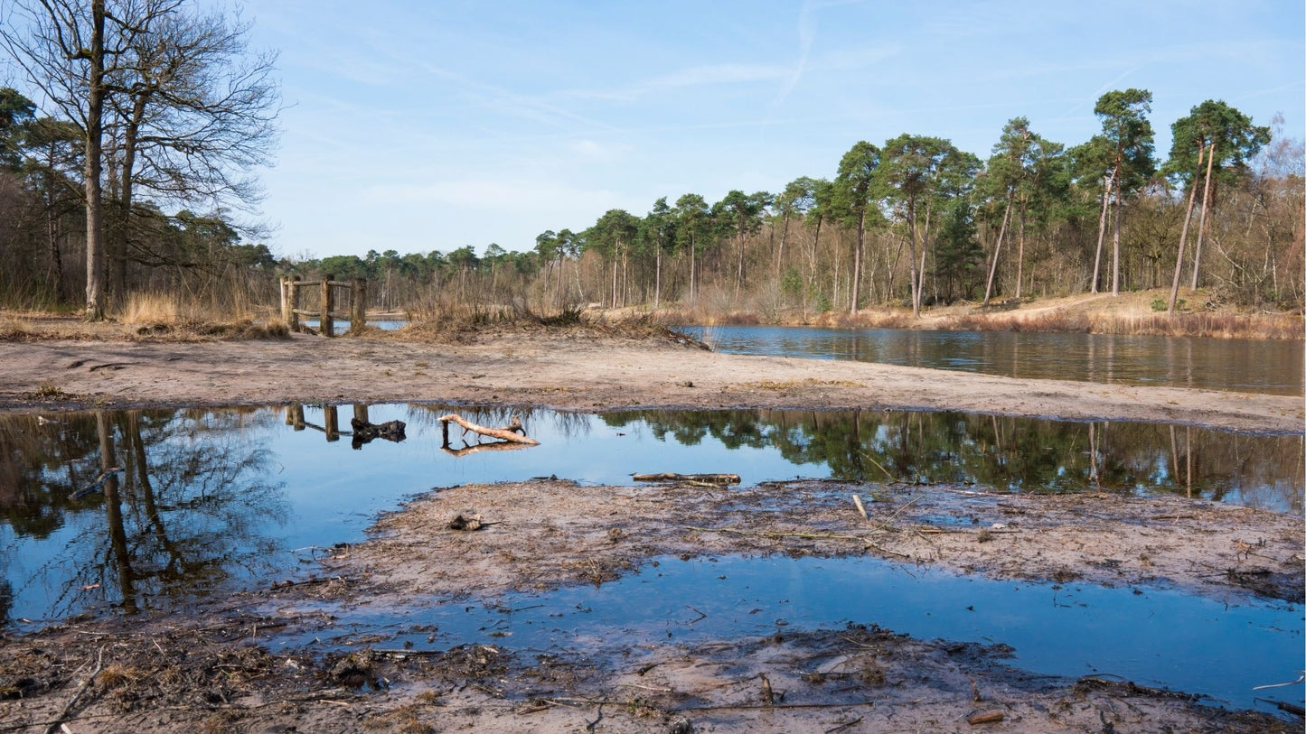 Muziektoer Noord-Brabant – Autospeurtocht met Muzikale Twist