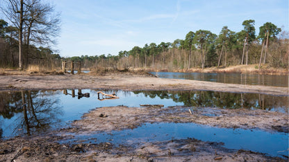 Muziektoer Noord-Brabant – Autospeurtocht met Muzikale Twist