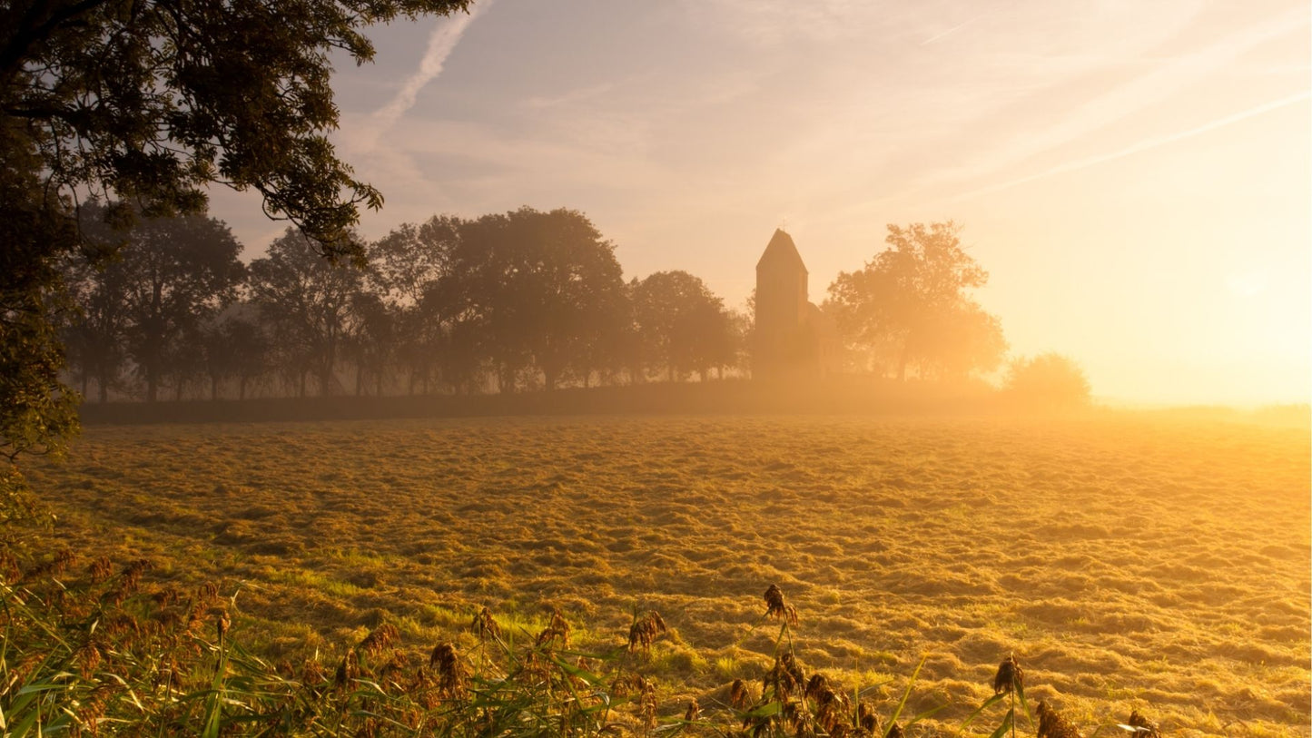 Muziektoer Friesland – Autospeurtocht met Muzikale Twist
