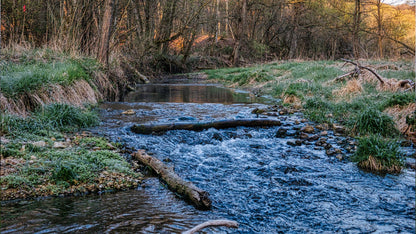 Muziektoer Gelderland – Autospeurtocht met Muzikale Twist