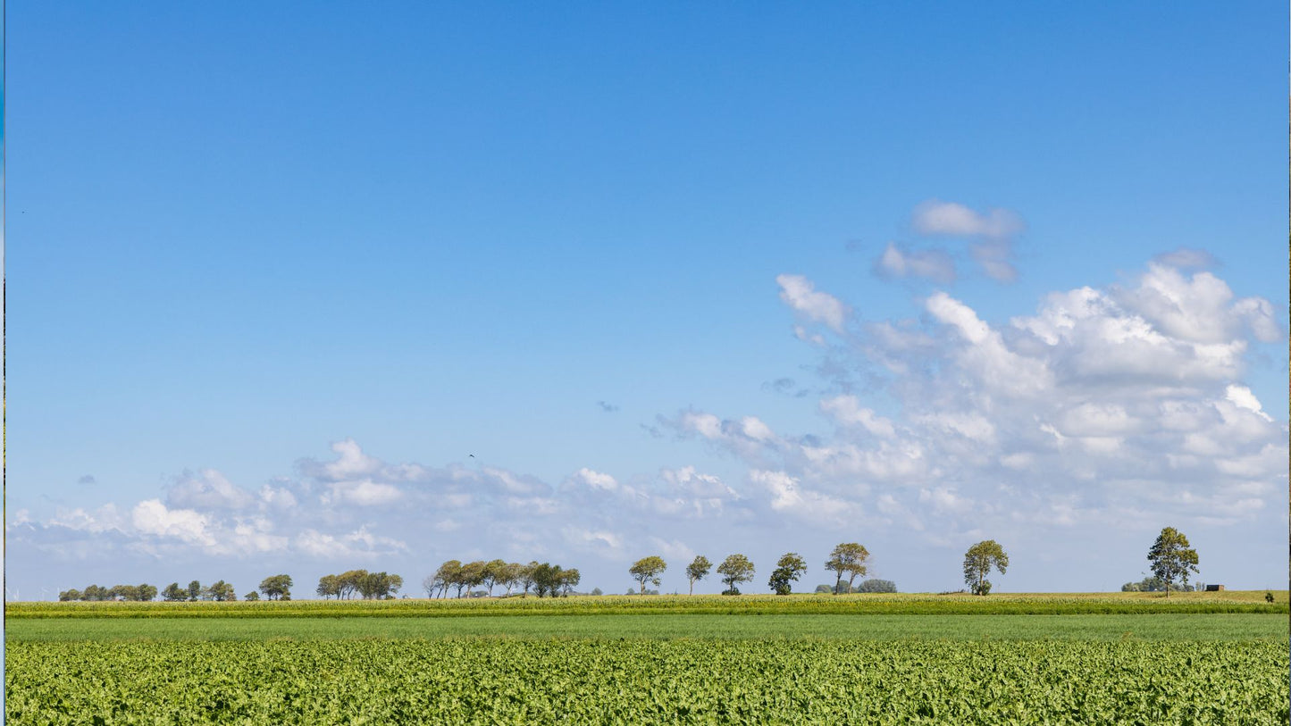 Muziektoer Groningen – Autospeurtocht met Muzikale Twist
