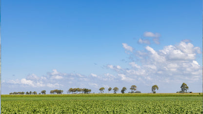 Muziektoer Groningen – Autospeurtocht met Muzikale Twist