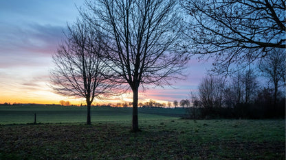 Muziektoer Limburg – Autospeurtocht met Muzikale Twist