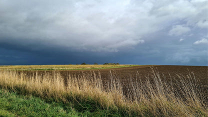 Muziektoer Limburg – Autospeurtocht met Muzikale Twist