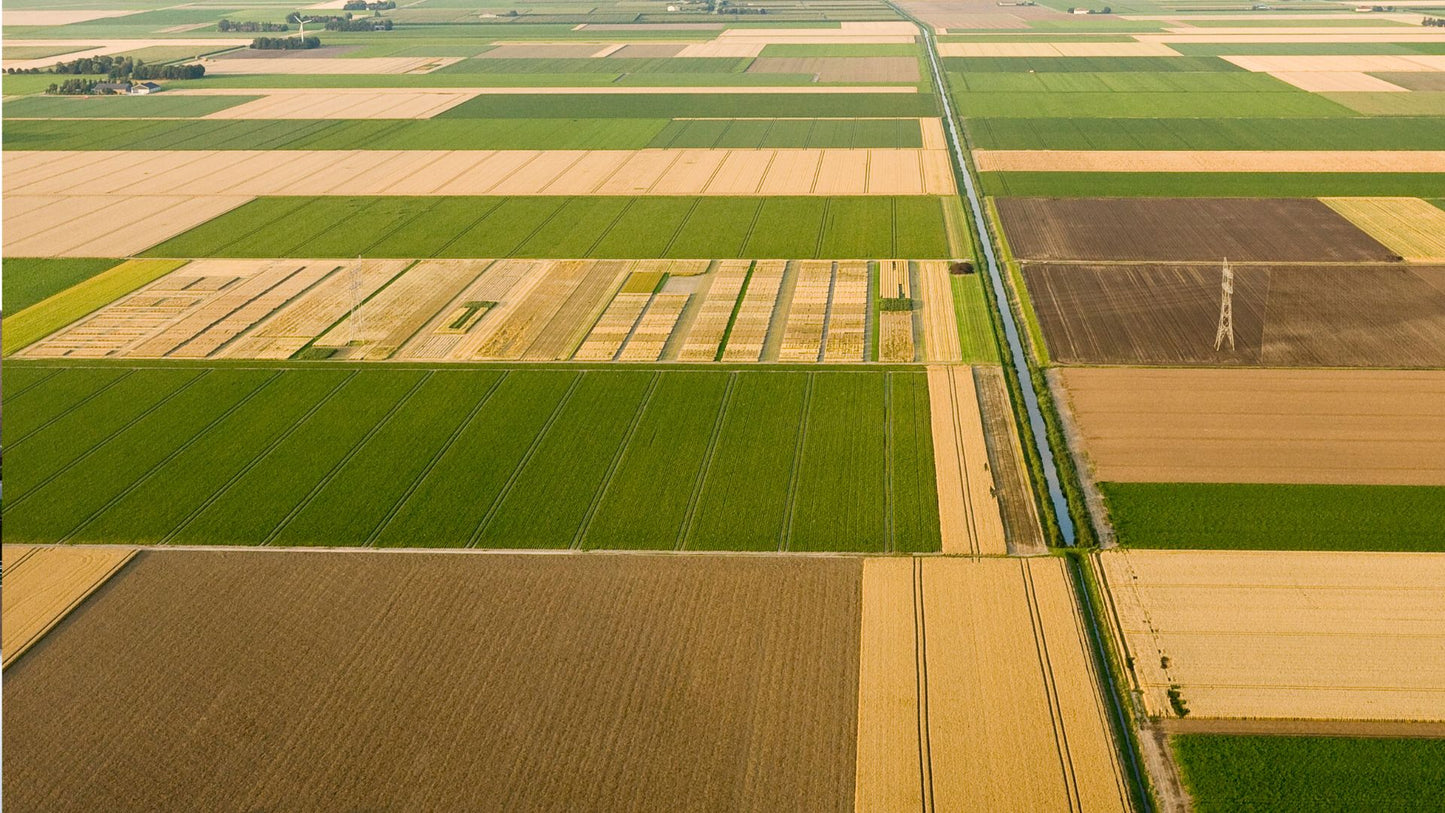 Muziektoer Noord-Holland – Autospeurtocht met Muzikale Twist