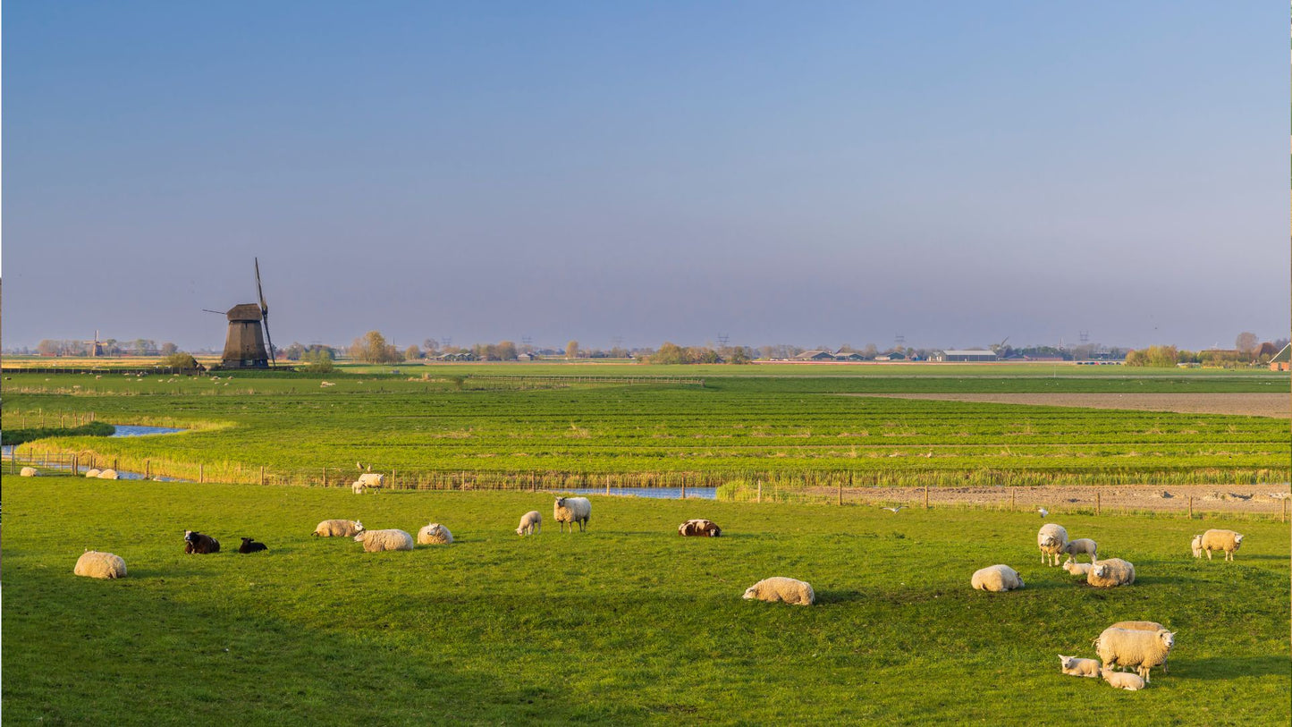 Muziektoer Noord-Holland – Autospeurtocht met Muzikale Twist
