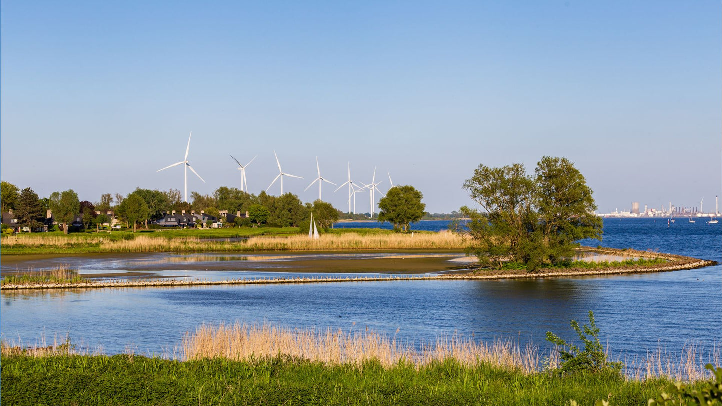 Muziektoer Zuid-Holland – Autospeurtocht met Muzikale Twist