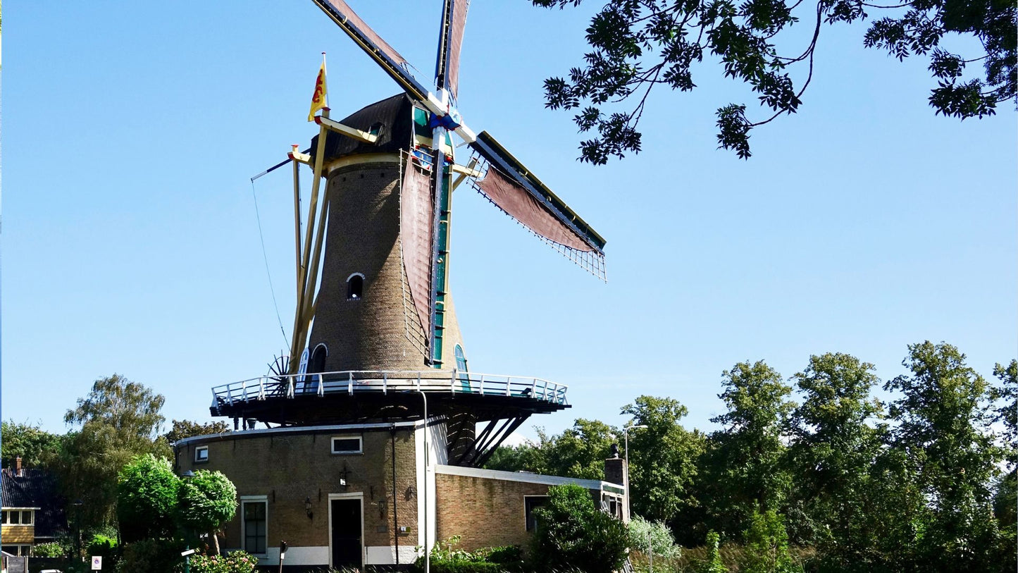 Muziektoer Zuid-Holland – Autospeurtocht met Muzikale Twist