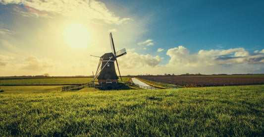 Autospeurtocht Reeuwijkse Plassen