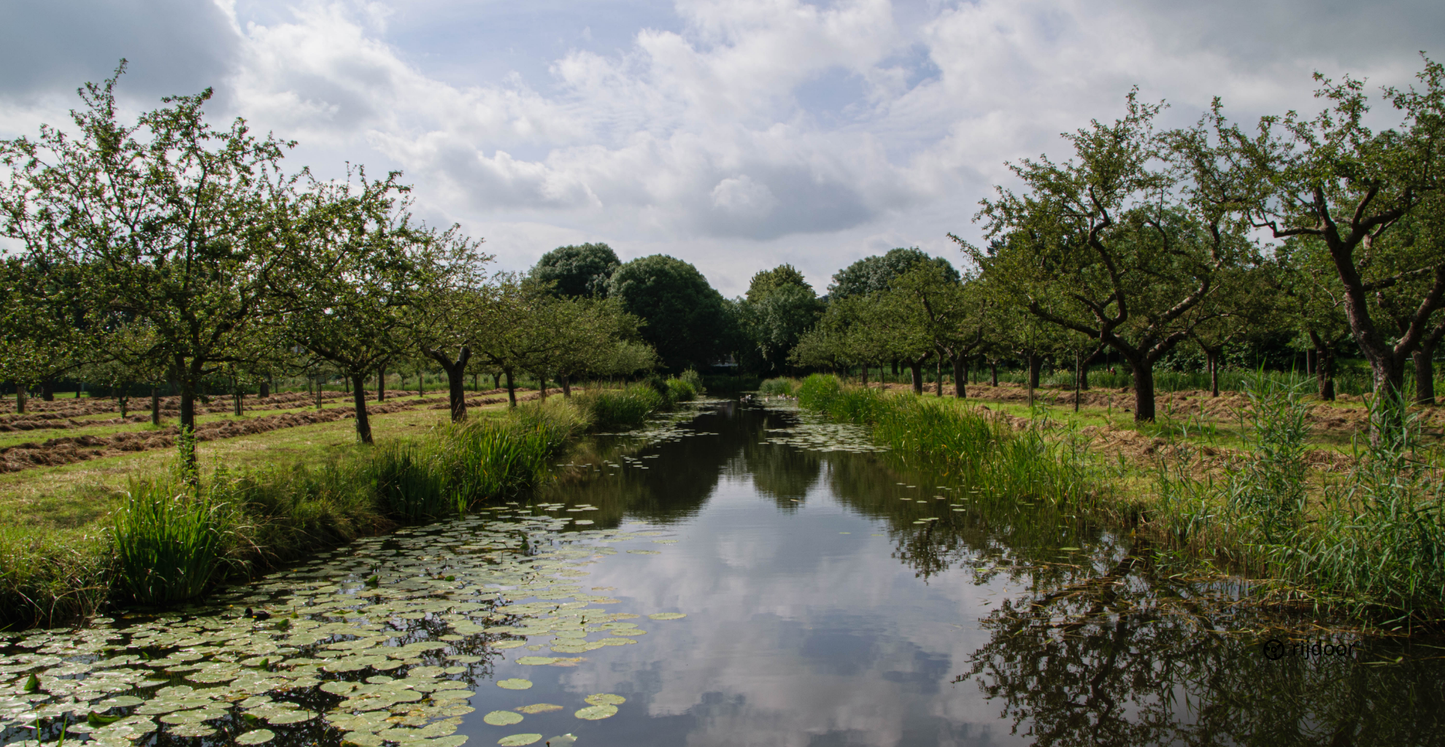 Autospeurtocht Reeuwijkse Plassen