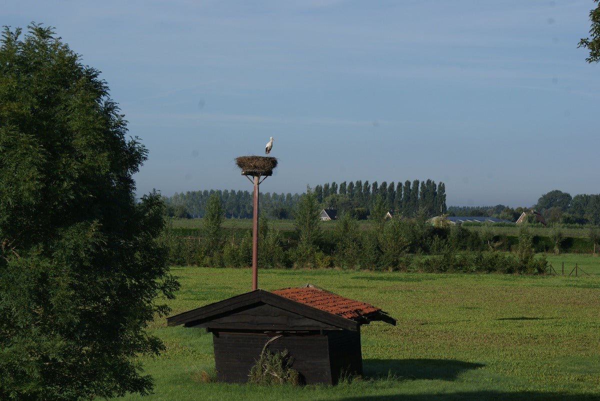 Roadtrip IJsselvallei West - rijdoor