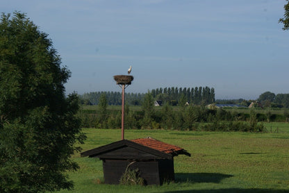 Roadtrip IJsselvallei West - rijdoor