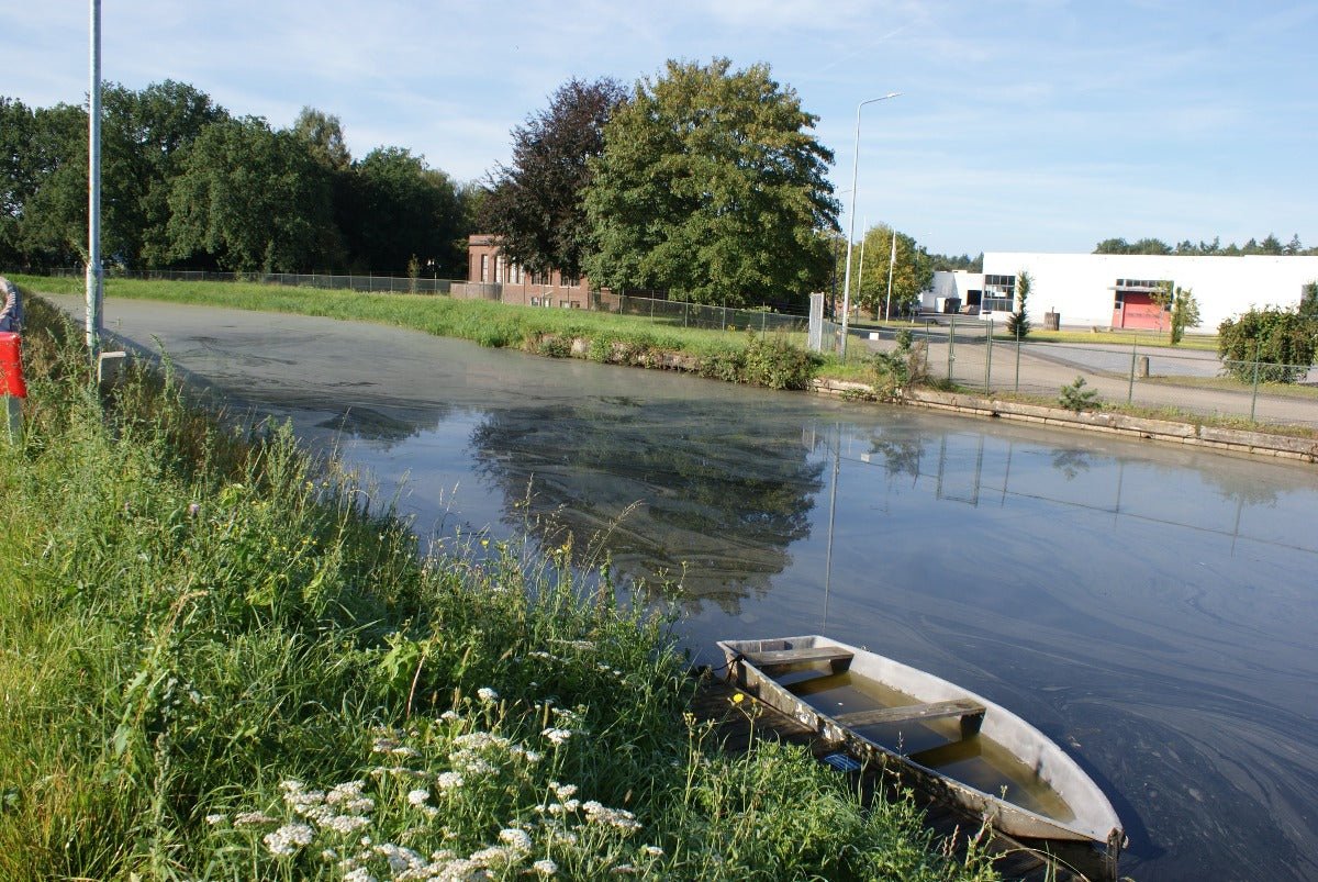 Roadtrip IJsselvallei West - rijdoor