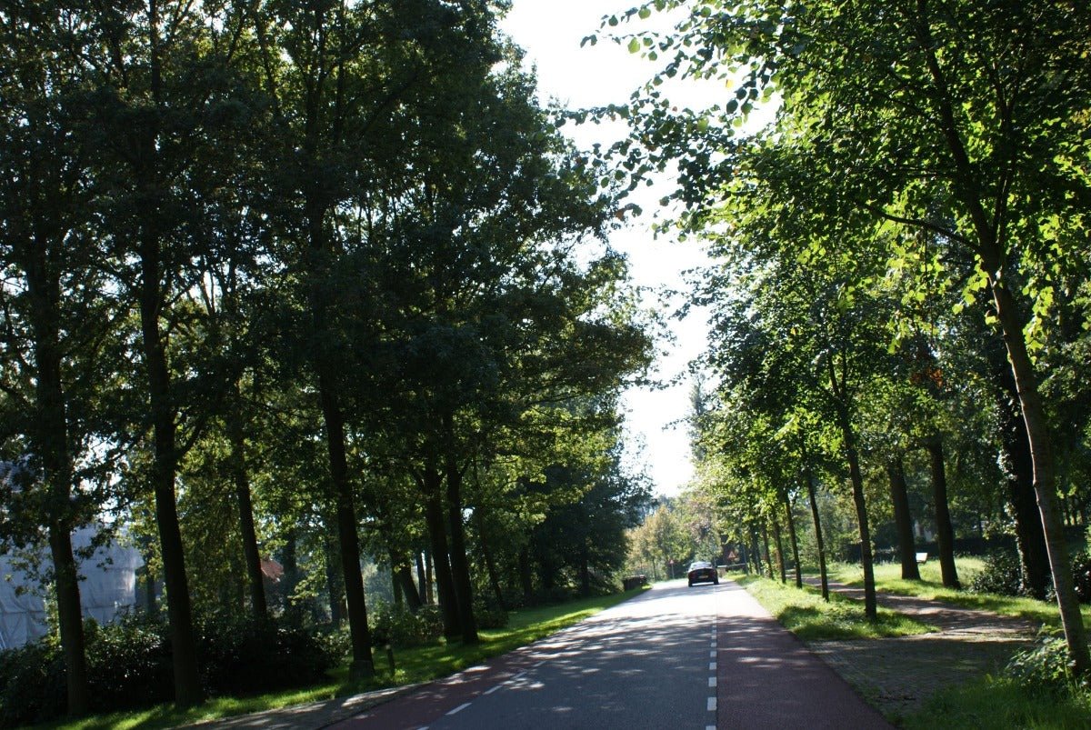 Roadtrip IJsselvallei West - rijdoor