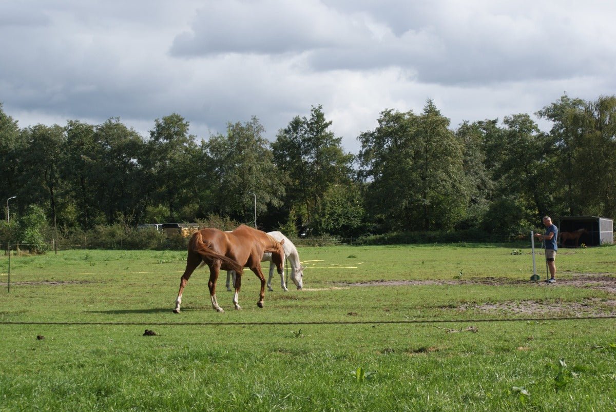 Roadtrip Noord Veluwe - rijdoor