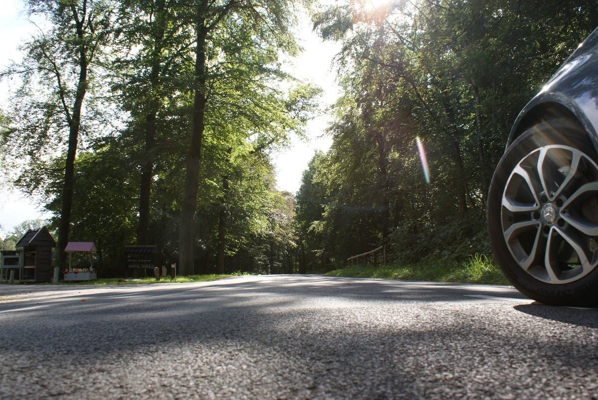 Roadtrip Noord Veluwe - rijdoor