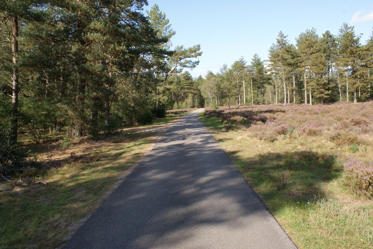 Roadtrip Noord Veluwe - rijdoor