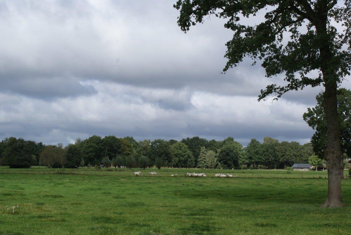 Roadtrip Noord Veluwe - rijdoor