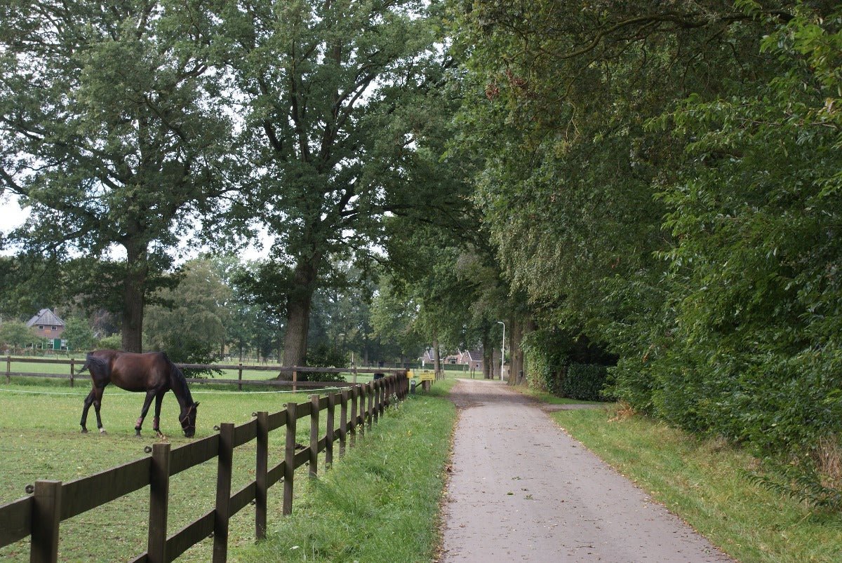 Roadtrip Noord Veluwe - rijdoor