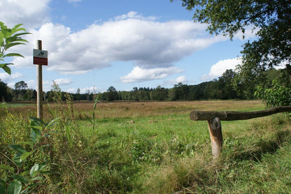 Roadtrip Noord Veluwe - rijdoor