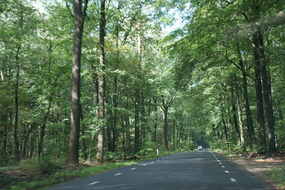 Roadtrip Noord Veluwe - rijdoor