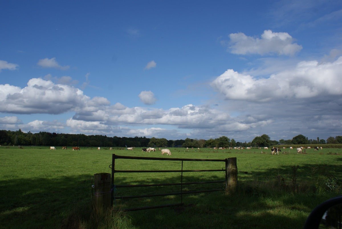 Roadtrip Noord Veluwe - rijdoor