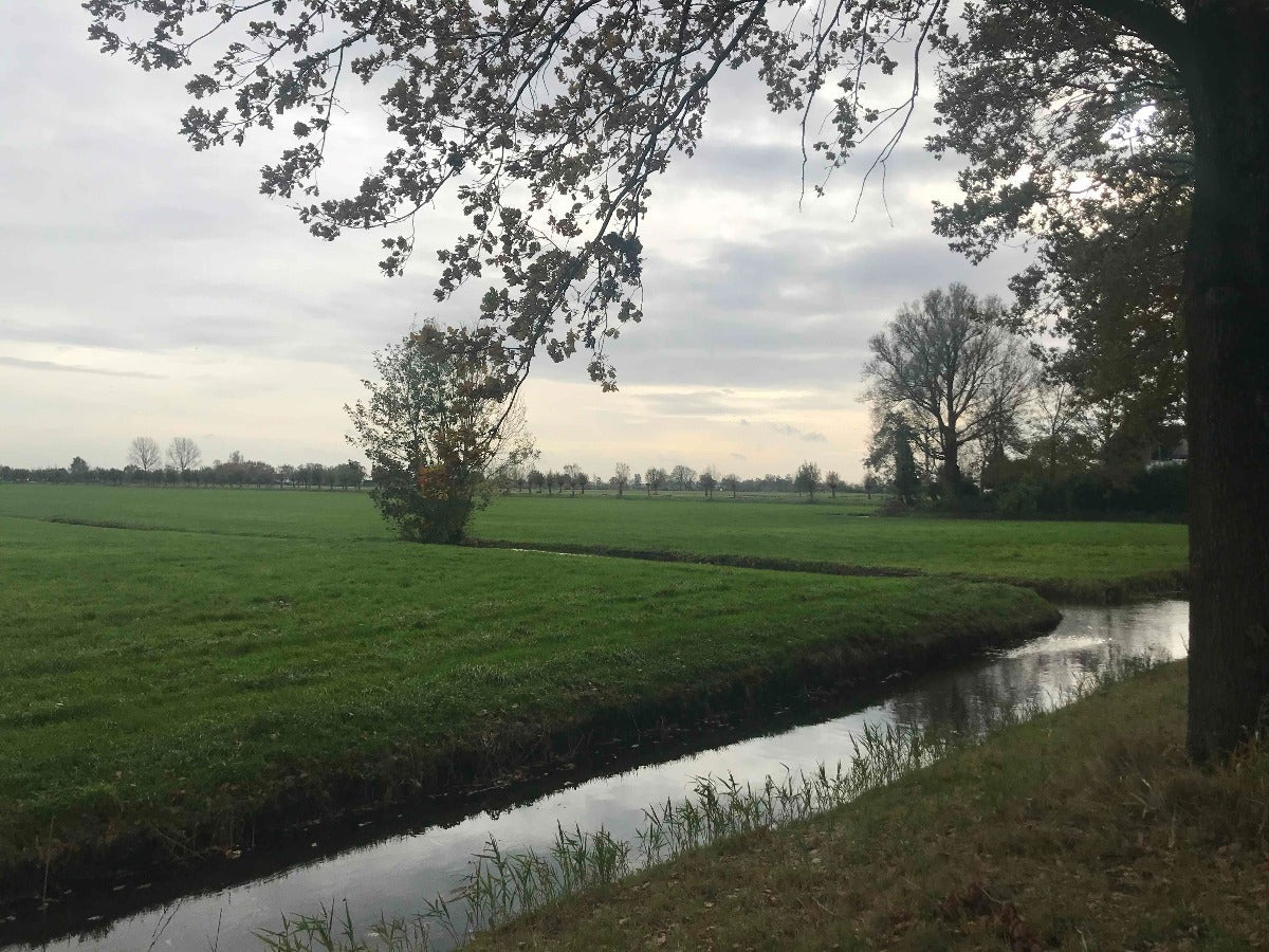 Roadtrip Sud East Fryslân - rijdoor