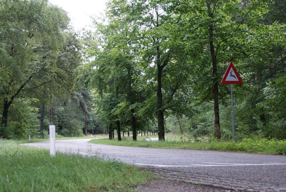 Roadtrip Veluwe - rijdoor