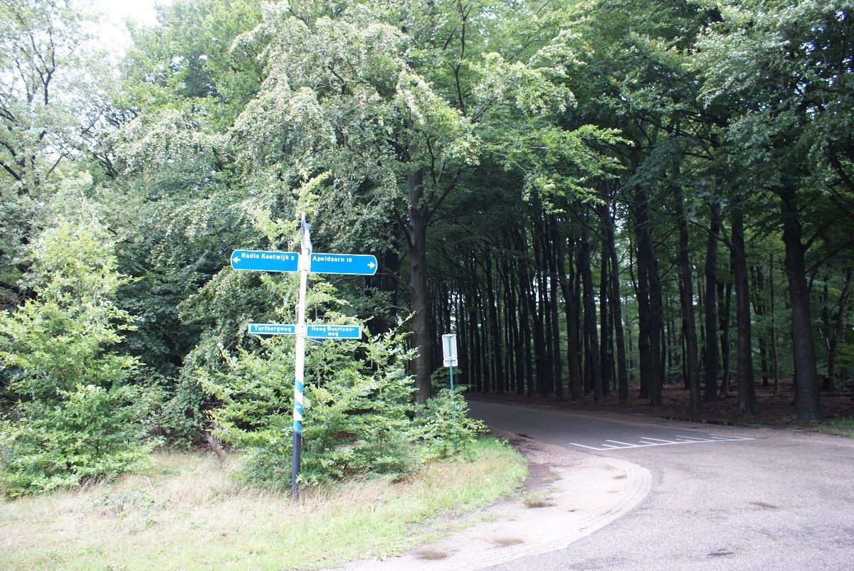 Roadtrip Veluwe - rijdoor